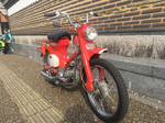 131CEB57-7C1E-403D-B9B5-8E0452EDCFB4.jpg
